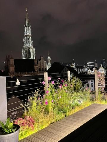 Duplex Dernier Etage Avec Terasse A Deux Pas De La Grand Place 布鲁塞尔 外观 照片